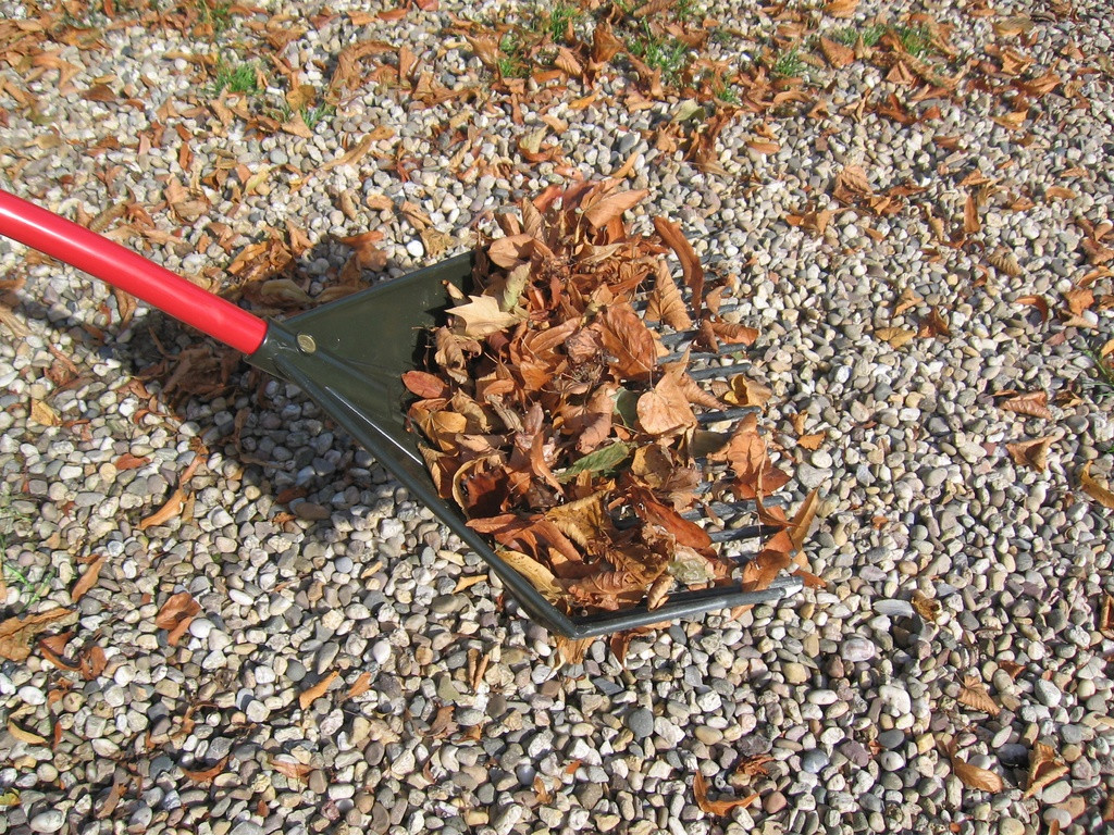 Golden Gark rood 18 tands 35 cm, gebogen aluminium steel en D-greep