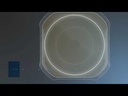 youtube - [Video]