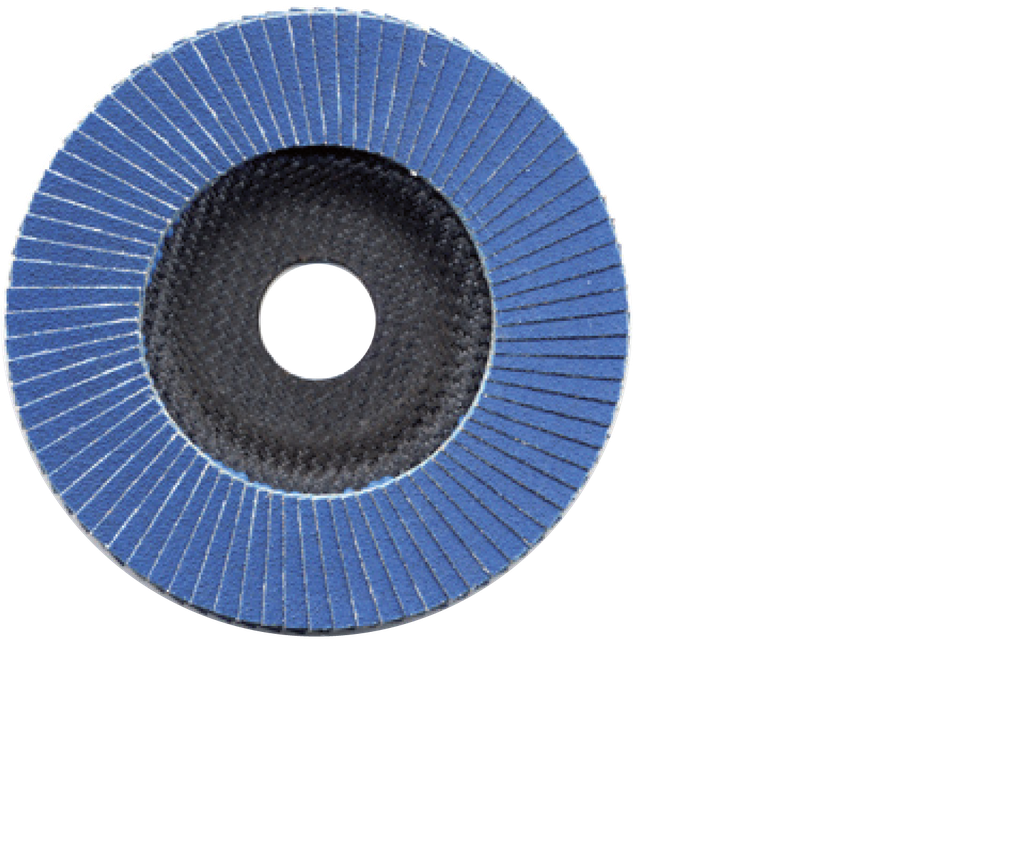 Lamellenschijf SILVER-LINE ø125x22,2 K80 10 STUKS