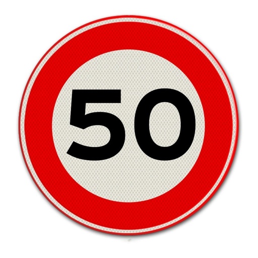 VERKEERSBORD SNELHEID 80CM